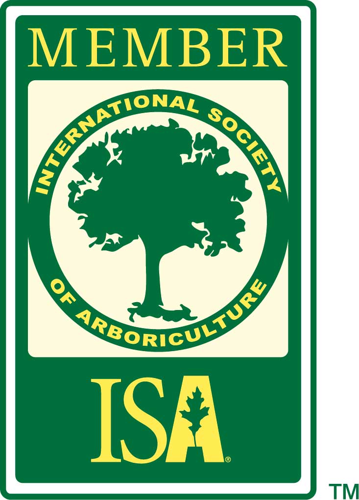Member ISA Logo
